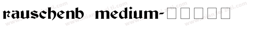 rauschenb medium字体转换